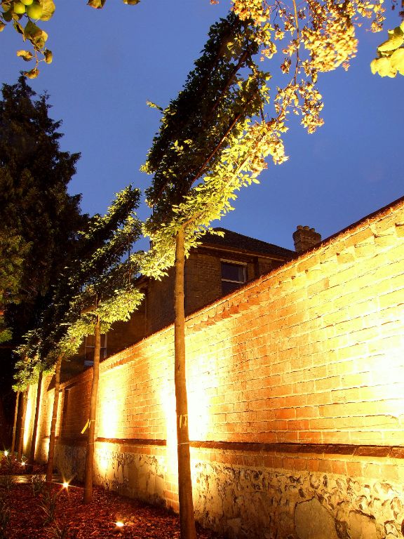 Garden wall lighting with pleached hornbeam